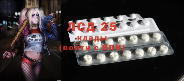 гашик Белоозёрский